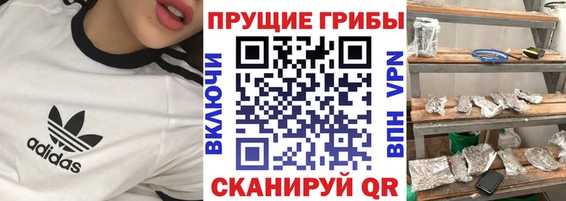 Галлюциногенные грибы прущие грибы дарнет шоп ссылка на мегу онион Лихославль