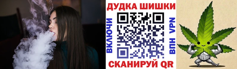 Конопля сатива Лихославль